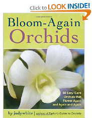 Bloom-Again Orchids Book by judywhite Stock Images