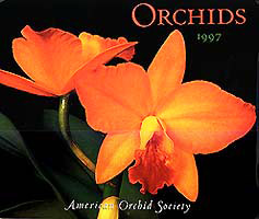 Orchid Calendar by judywhite