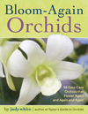 Bloom Again Orchids by judywhite