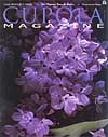 Lilac Flowers Stock Picturesmagazine cover judywhite