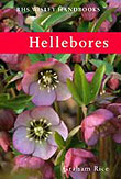 Hellebores Stock Flowers Photography Graham Rice 