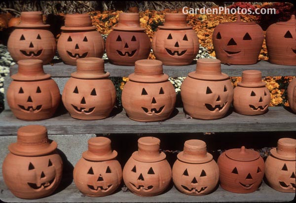 gardenphotoslo23765
