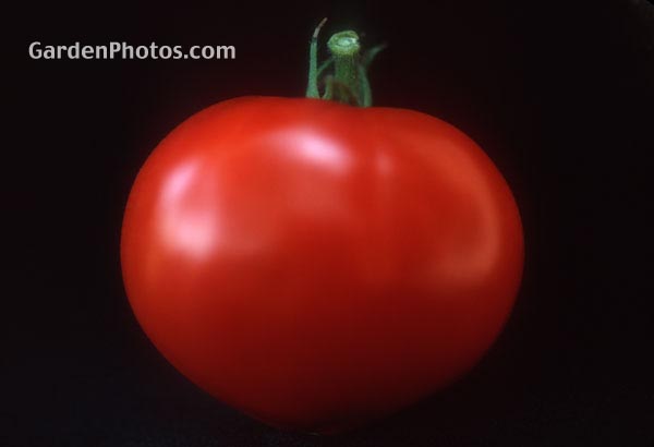 gardenphotoslo4469