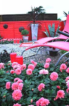 Dahlias, Zinnias, Candles, Pink Backyard Chairs